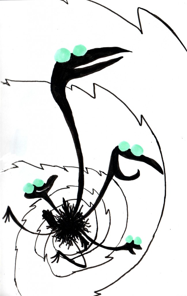 birdhydra